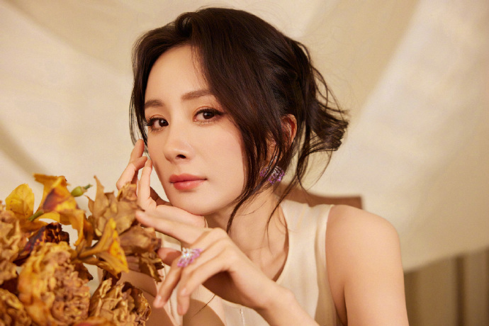 Một vài thông tin cơ bản về Dương Mịch
